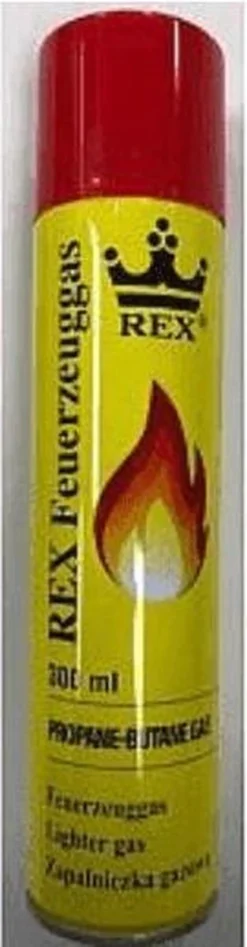 Hofftech Universeel Aanstekergas Propaan - Butaan Gas - 300 Ml -Grillmeesters Goedkope Winkel 313x1200