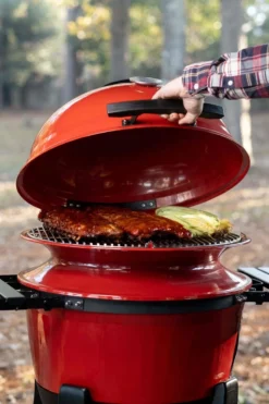 Kamado Joe - Kettle Joe Barbecue 27 Kamado Joe - Kettle Joe Barbecue -Grillmeesters Goedkope Winkel 799x1200 1