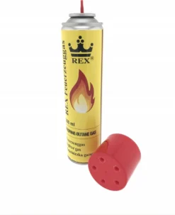 Hofftech Universeel Aanstekergas Propaan - Butaan Gas - 300 Ml -Grillmeesters Goedkope Winkel 979x1200